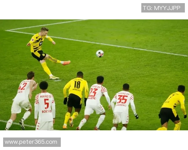 西甲激战：本菲卡大胜多特蒙德引发全场热议与焦点分析